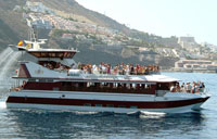 Royal Delfin Boat Trips in Tenerife